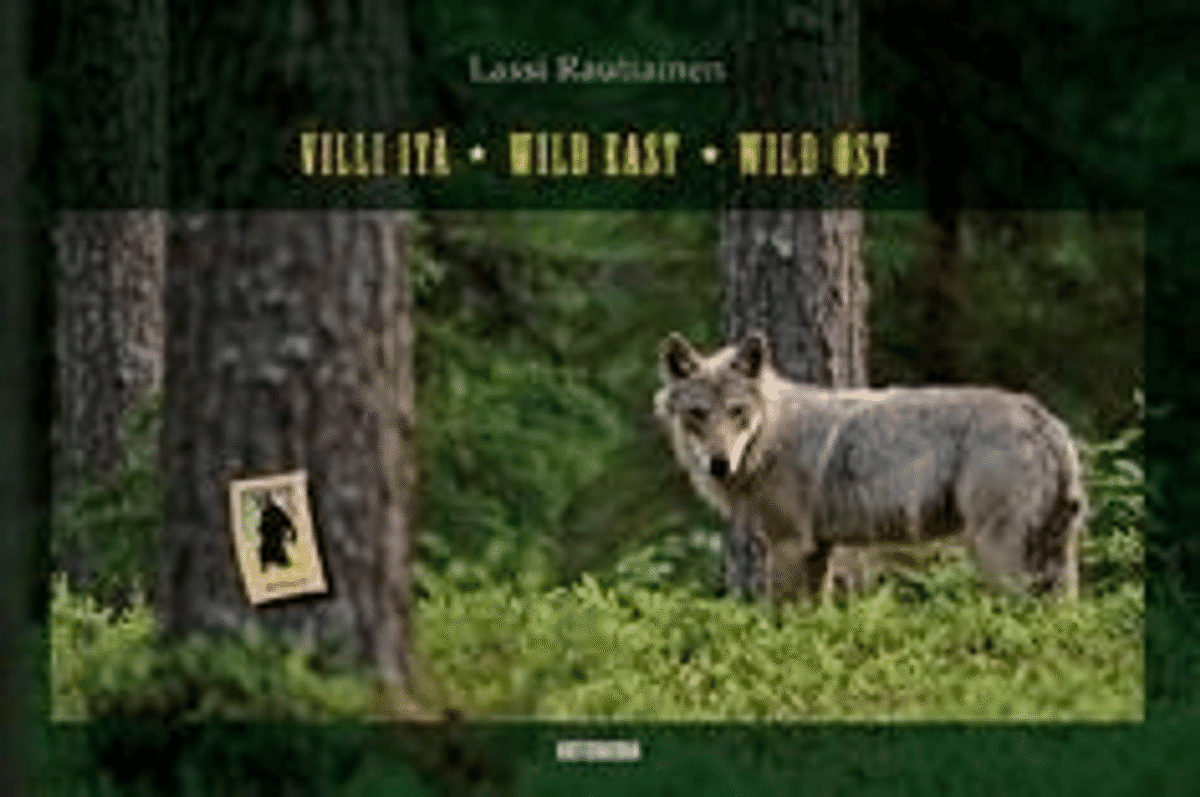 Lassi Rautiainen - Villi itä