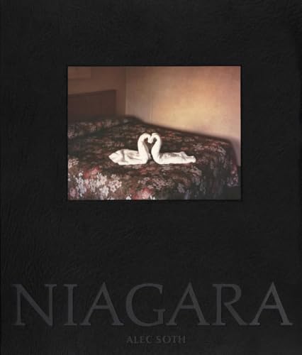 Alec Soth - Niagara