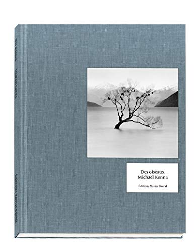 Michael Kenna - Des oiseaux