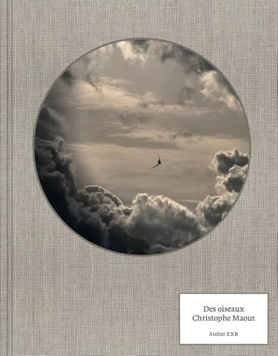 Christophe Maout - Des oiseaux