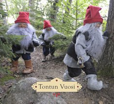 Manninen & Paavola - Tontun vuosi