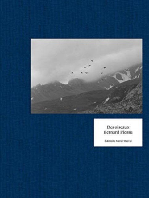 Bernard Plossu - Des oiseaux