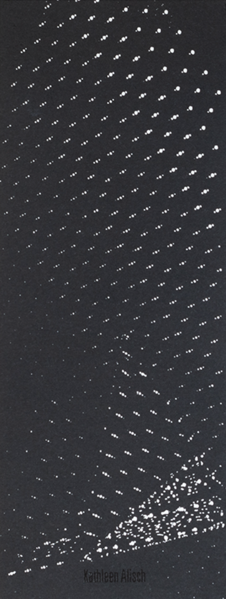 Kathleen Alisch - Atlas of Voids