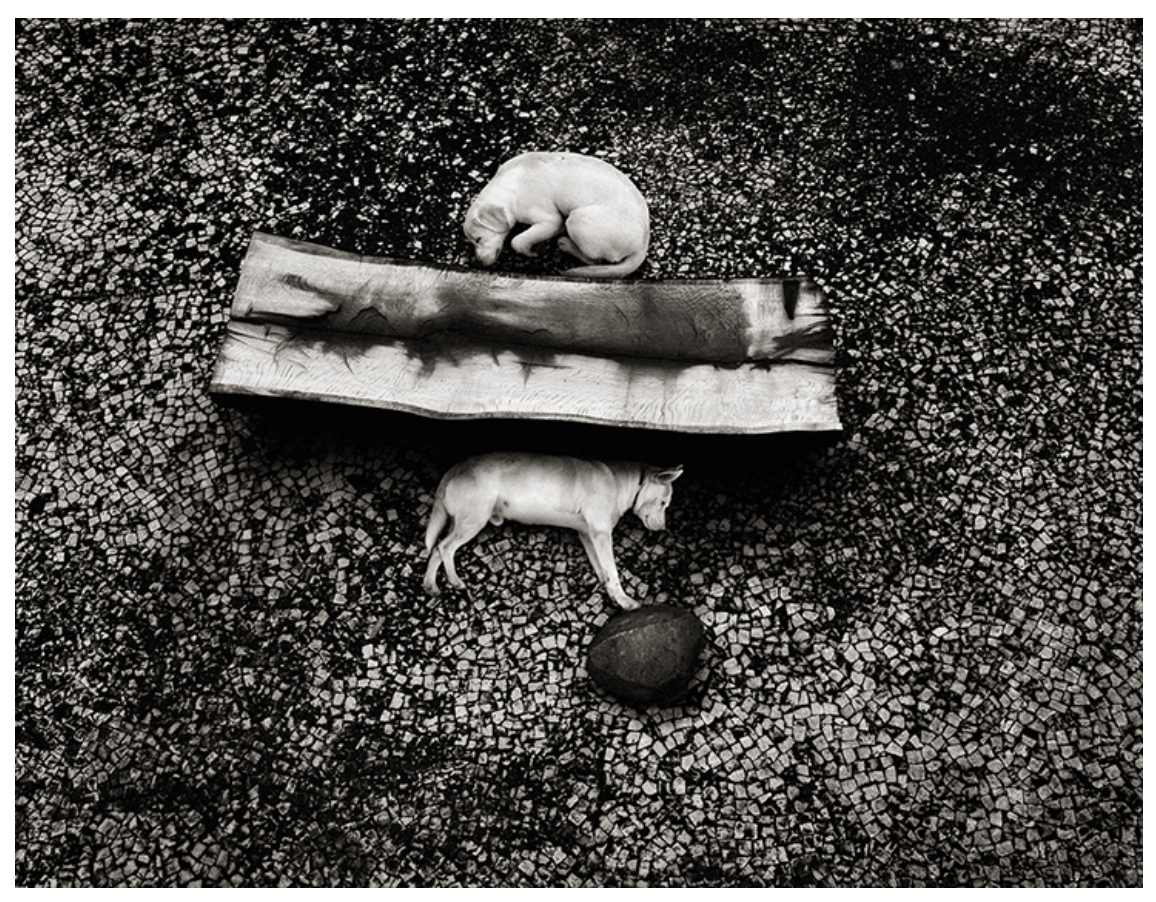 Pentti Sammallahti - Me Kaksi (signed)