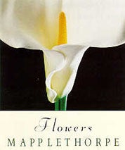 Flowers - Robert Mapplethorpe