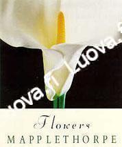 Flowers - Robert Mapplethorpe