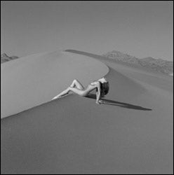 Guido Argentini - Silvereye