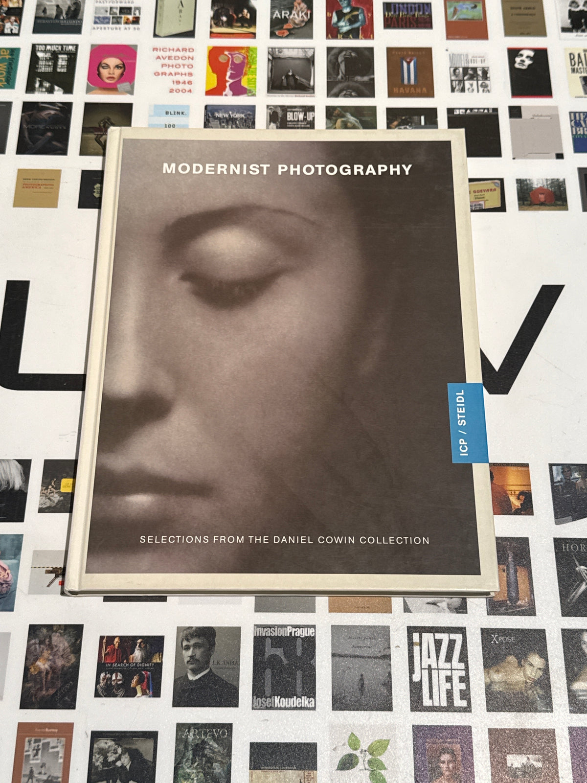 Modernist Photography: Selections from the Daniel Cowin Collection