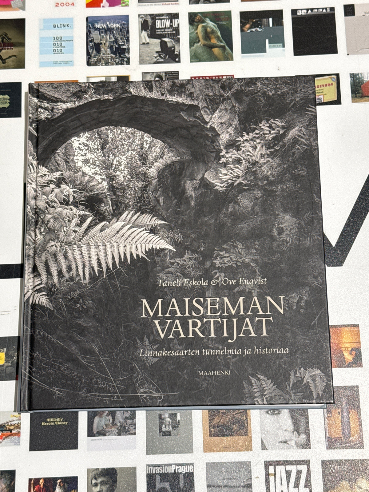 Taneli Eskola & Ove Enqvist - Maiseman vartijat