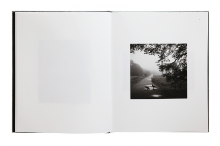 Pentti Sammallahti - Des oiseaux (Signed)