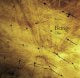Renja Leino - Being / Olio