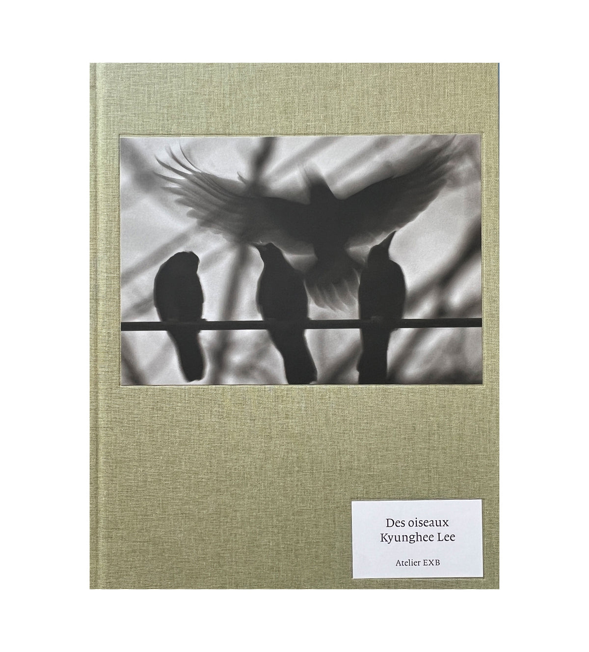 Kyunghee Lee - Des oiseaux