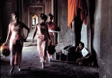 Sanctuary - Steve McCurry