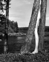 Arno Rafael Minkkinen - Suomen kuvat / Homework - The Finnish Photographs 1973 to 2008 (Signed)