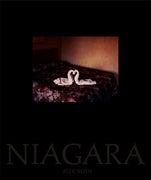 Alec Soth - Niagara