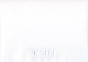 Ari Saarto - In Situ