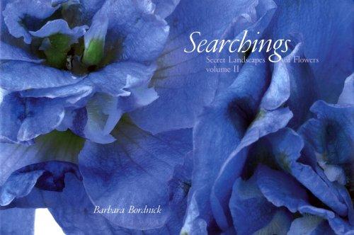 Barbara Bordnick - Searchings Volume 2