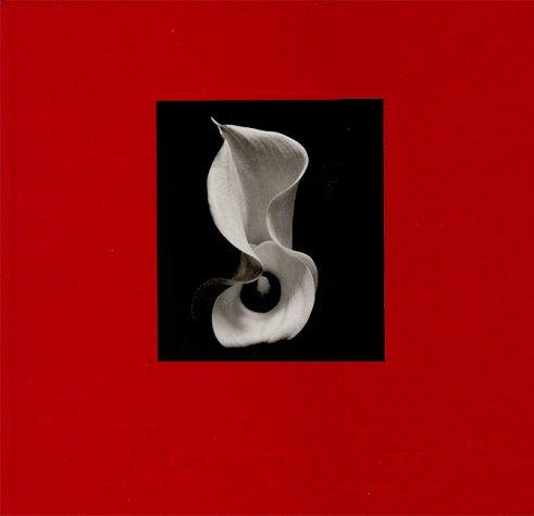 Kenro Izu - Still Life