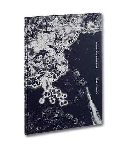 Mayumi Hosokura - Transparency Is the New Mystery
