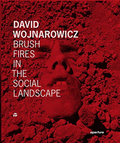 David Wojnarowicz - Brush Fires in the Social Landscape